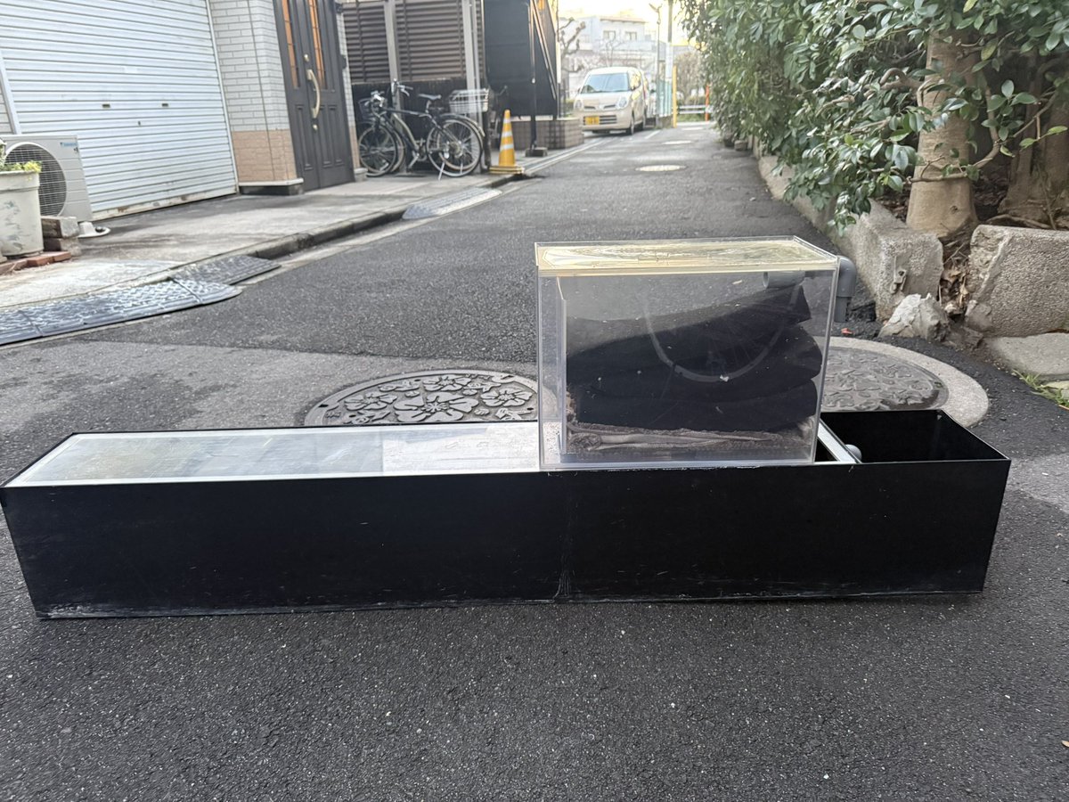 アロたい tweet media