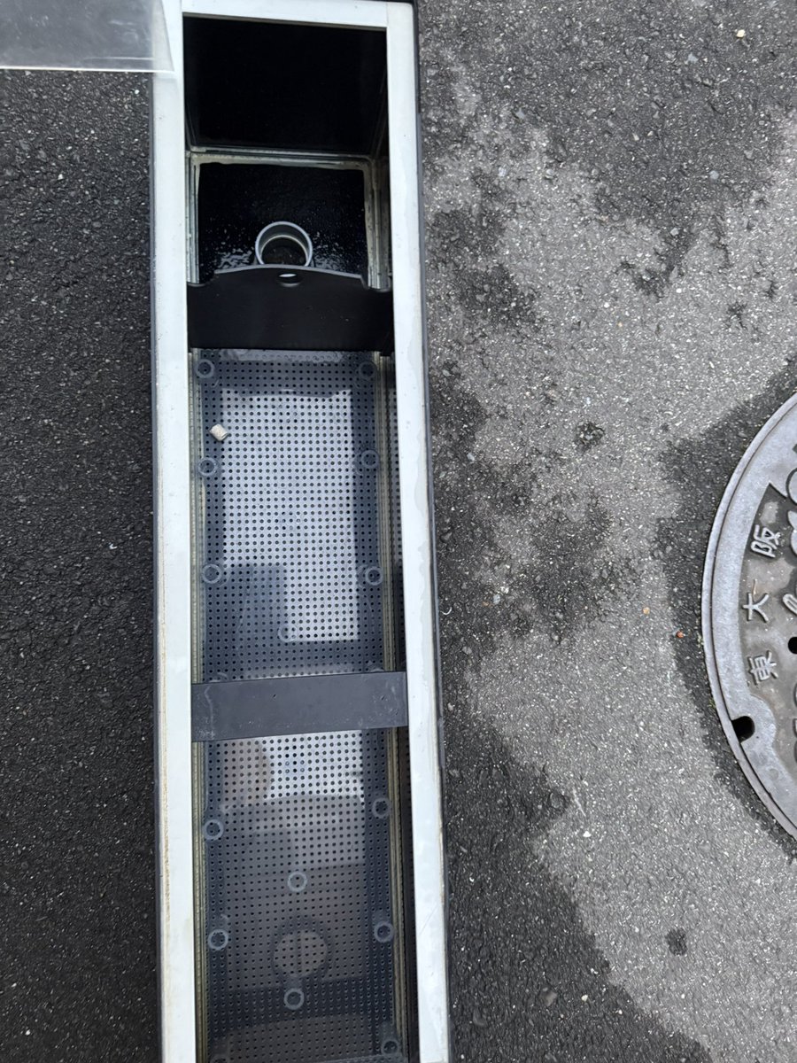 アロたい tweet media