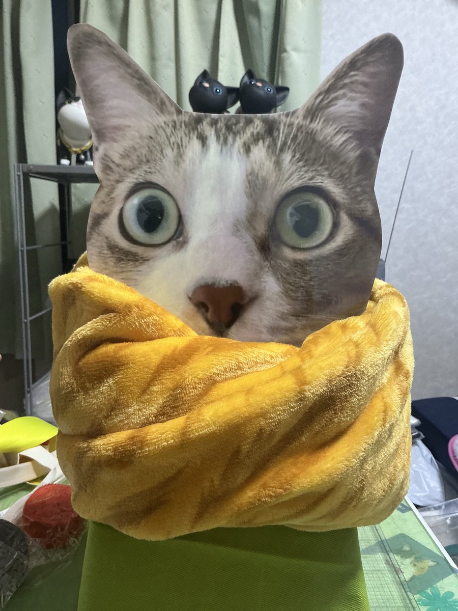 2月14・15日の #ちよだ猫まつり で販売すべく去年頑張ってスヌードを縫ったのに当日は春日和で暖かいとか⁉️
ここゎショコラ君に頼むしかにゃー‼️