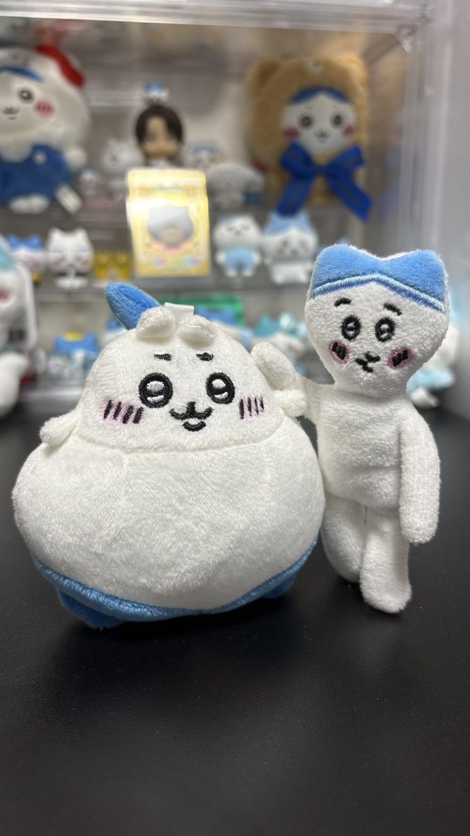 427neko2's tweet image. ハチワレだらけくじ落選組