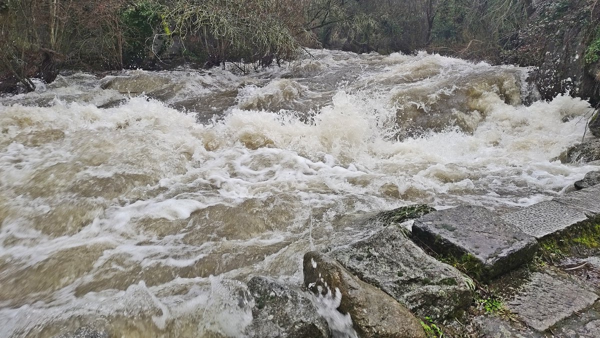 FJCivantos's tweet photo. Gran caudal en el río Eresma, fuera de cauce en algunas zonas, a su paso por la ciudad de #Segovia... @sibilafc @SergioMeteo @TiempoCyLTV @lasextameteo @fcocachometeo @JoannaIvars @tiempobrasero @ElTiempoA3 @ElTiempo_tve @MeteoredES @tomeandres @anamaria190977 #deshielo #Eresma https://t.co/NQh3tyuEEr