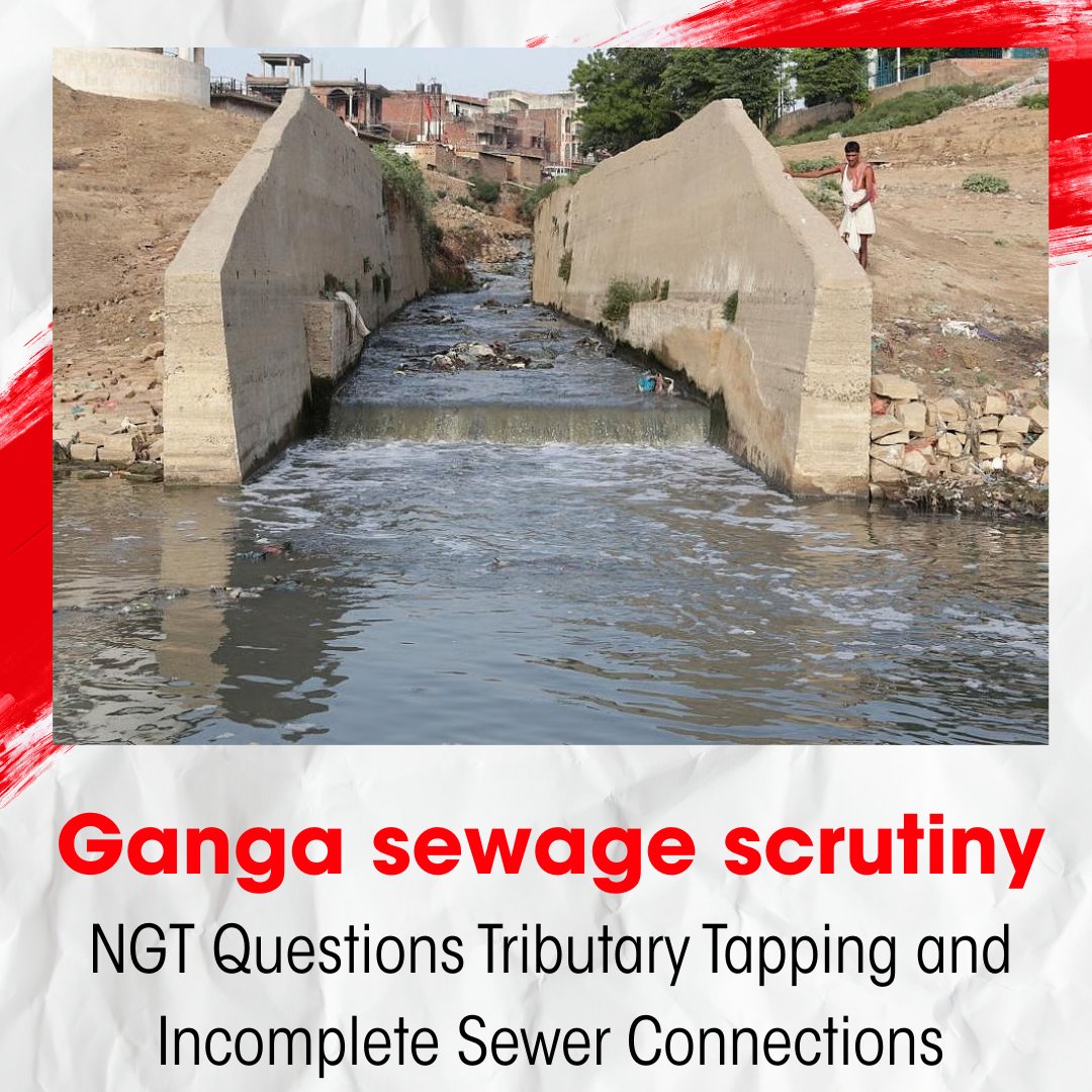 Down To Earth tweet media