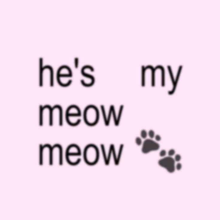 pormeows's tweet photo. https://t.co/LvjqmNdpg7