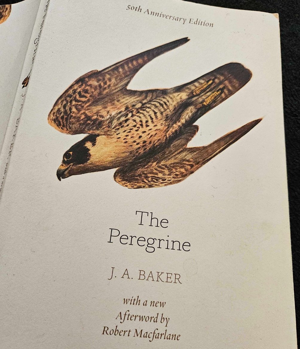 Simon "Si Spurrier" Spurrier tweet media