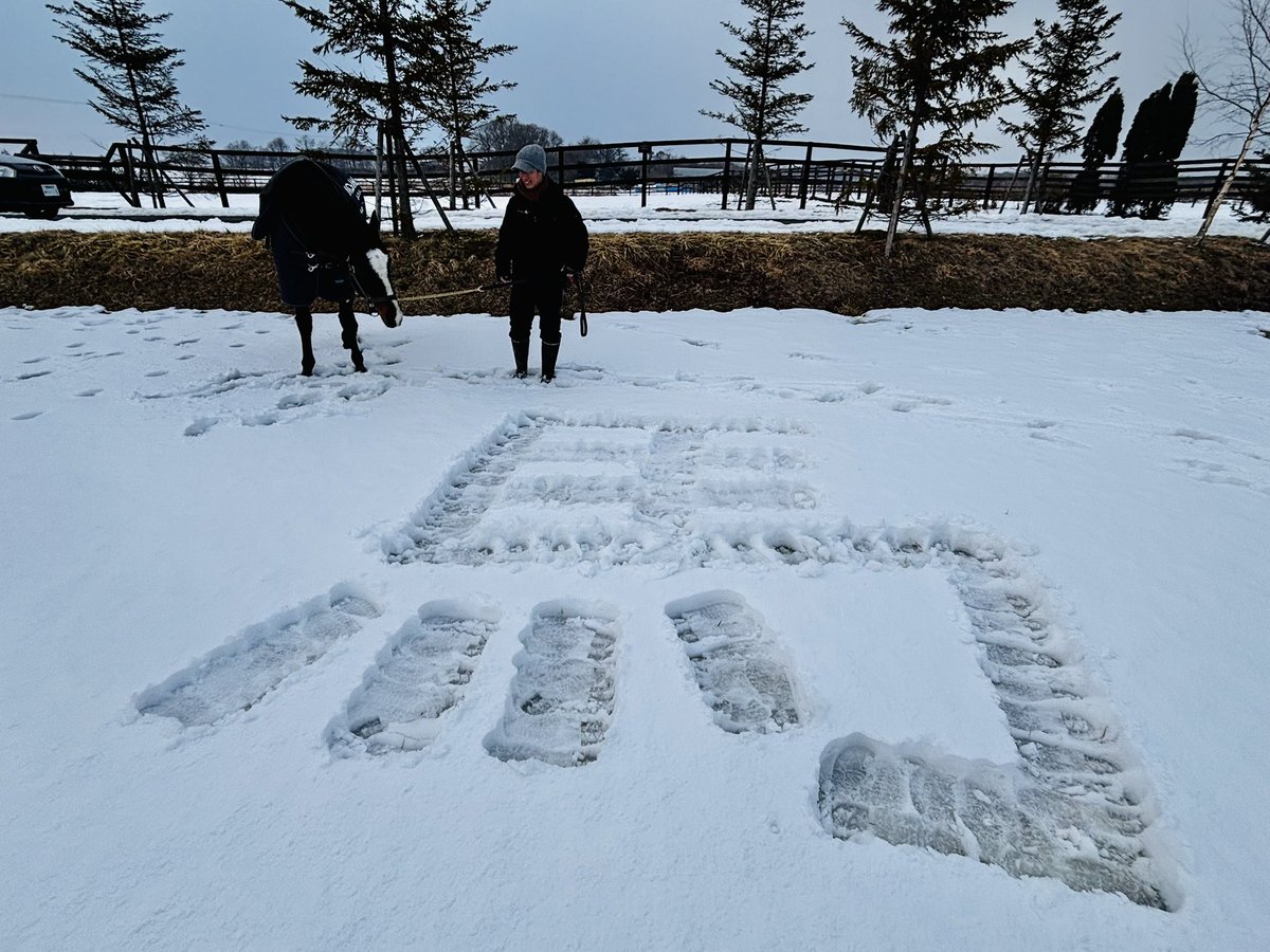 これは本日ご来場のお客様が作ったと思われる足跡で作られた【馬】

それを見に来た【馬】

#タニノギムレット
