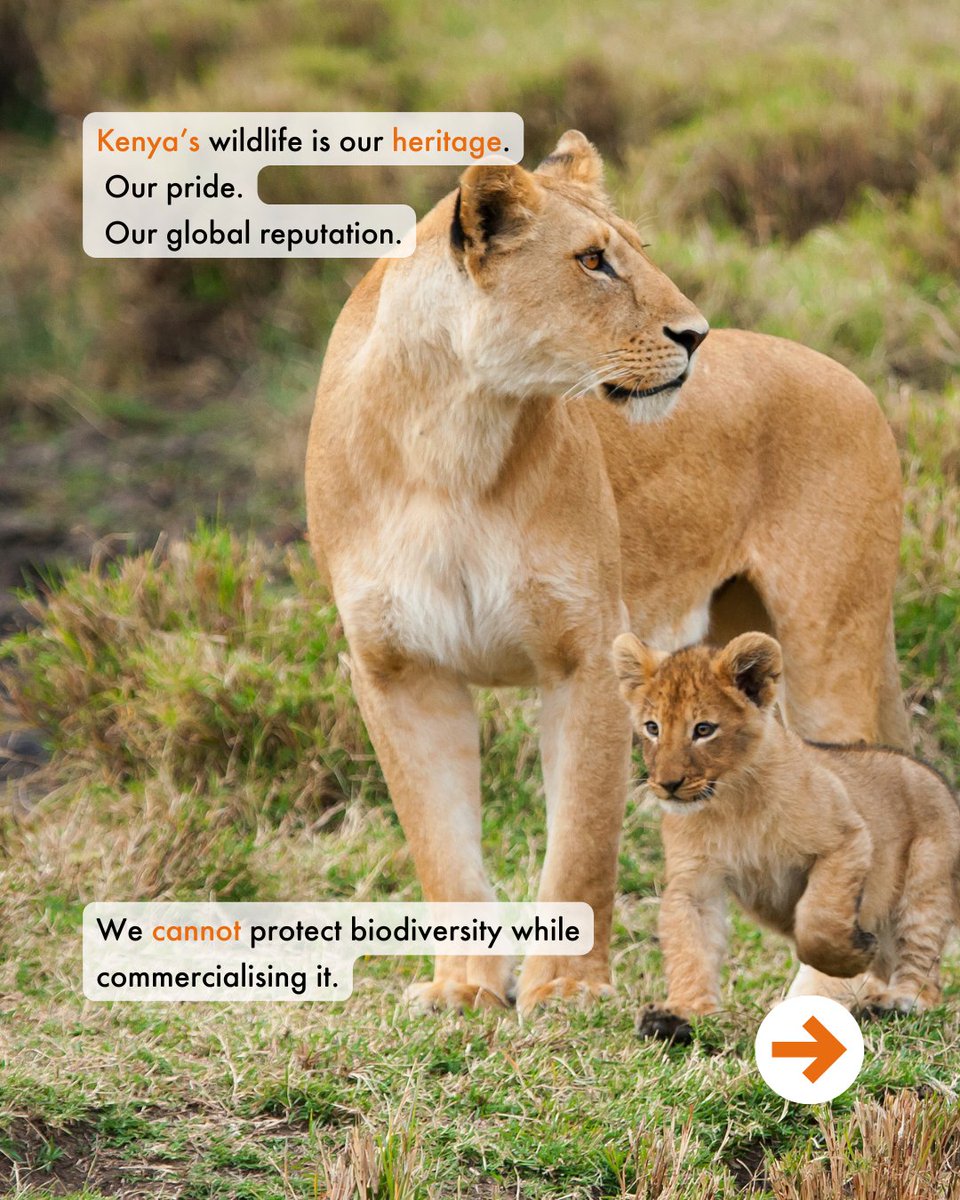 World Animal Protection Africa tweet media