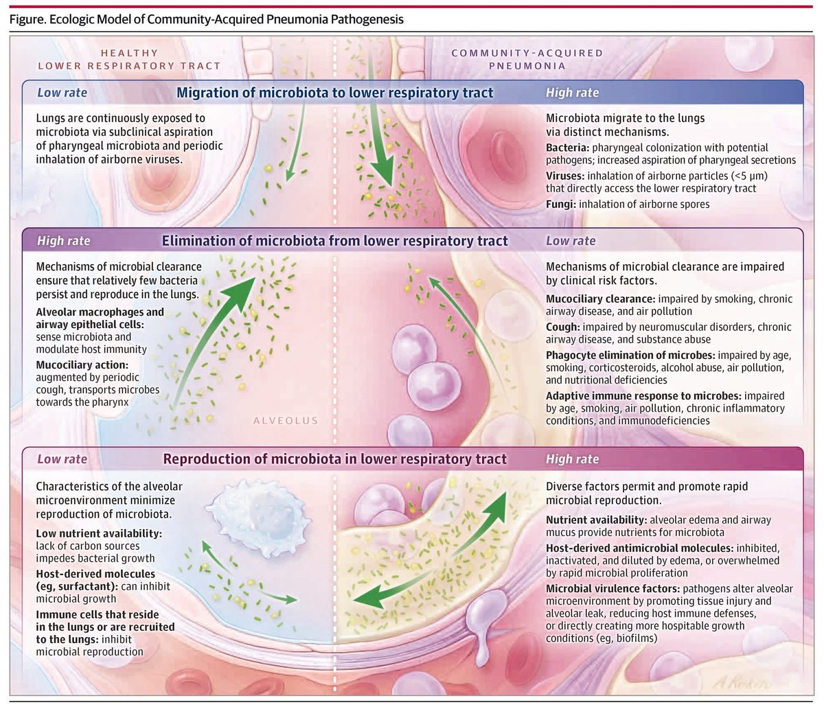 Wataru Hayashi / 林 航 tweet media