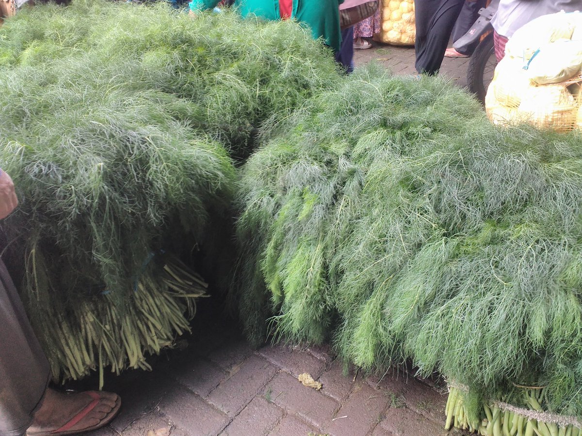 AbU JenaR tweet media