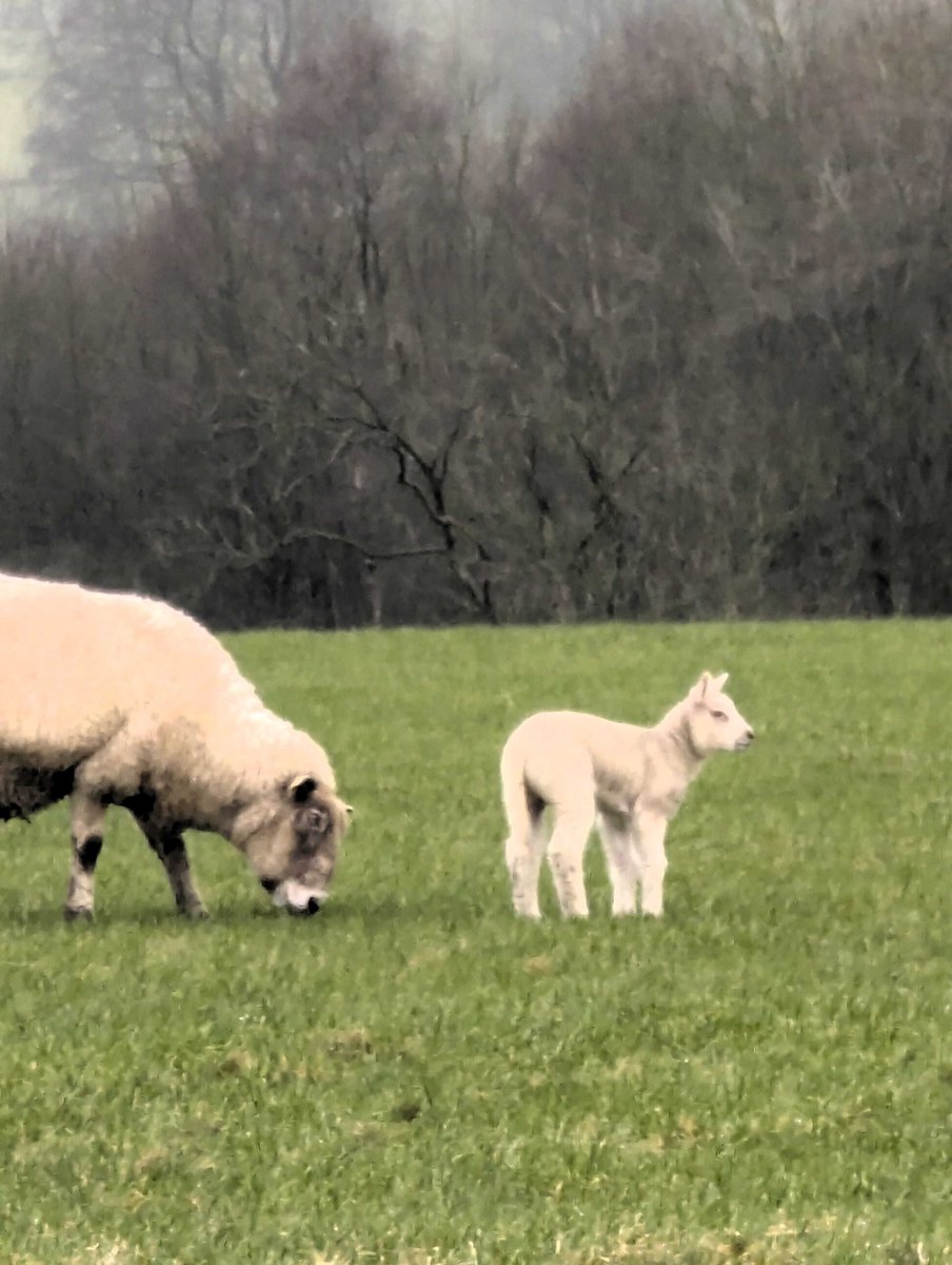 Friends of the Settle-Carlisle Line (FoSCL) tweet media