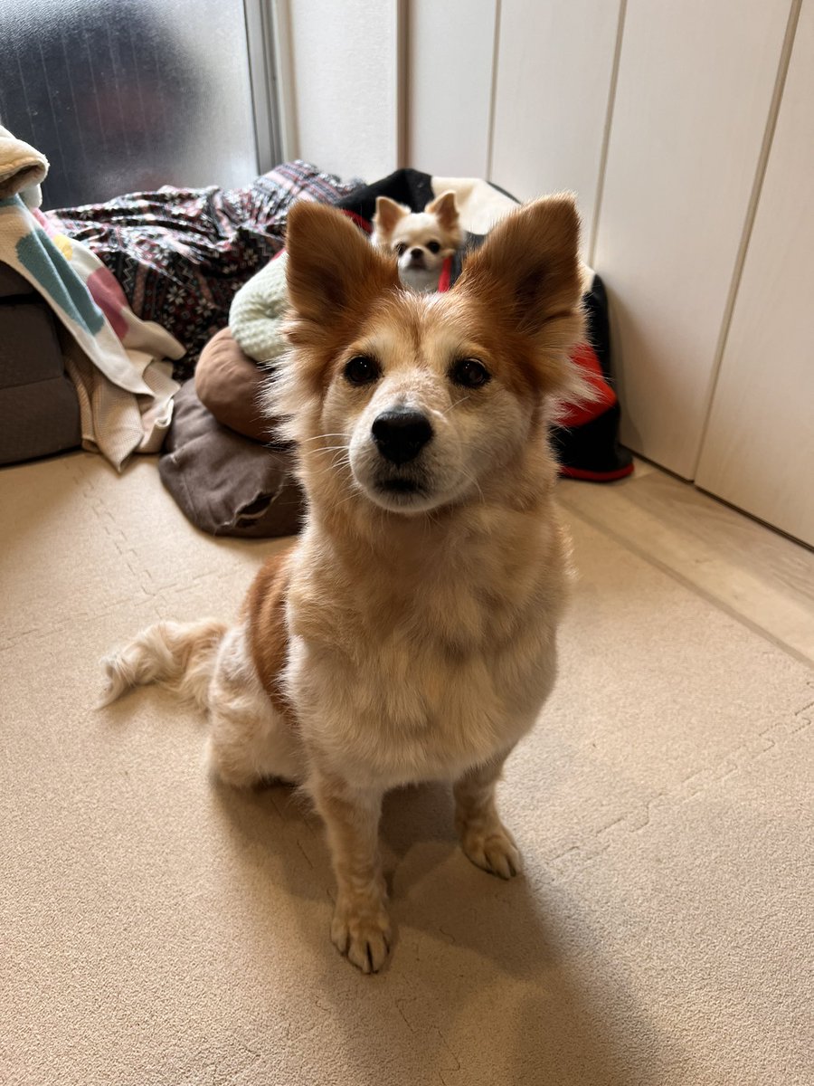 なか (@nakkkkkan) on X