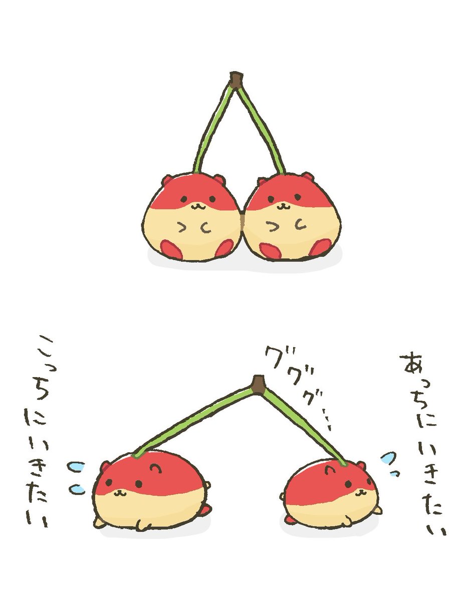 さくらんぼハムスター🍒
