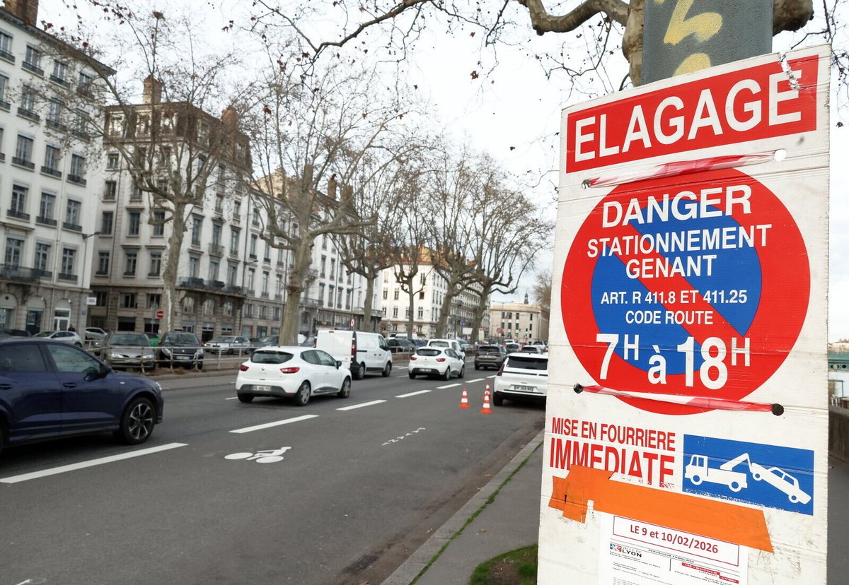 leprogreslyon's tweet image. 🌳 Sur le quai Gailleton, des arbres centenaires abattus : pourquoi il a fallu « confiner le chantier »
#Lyon #environnement

➡️ l.leprogres.fr/rkR