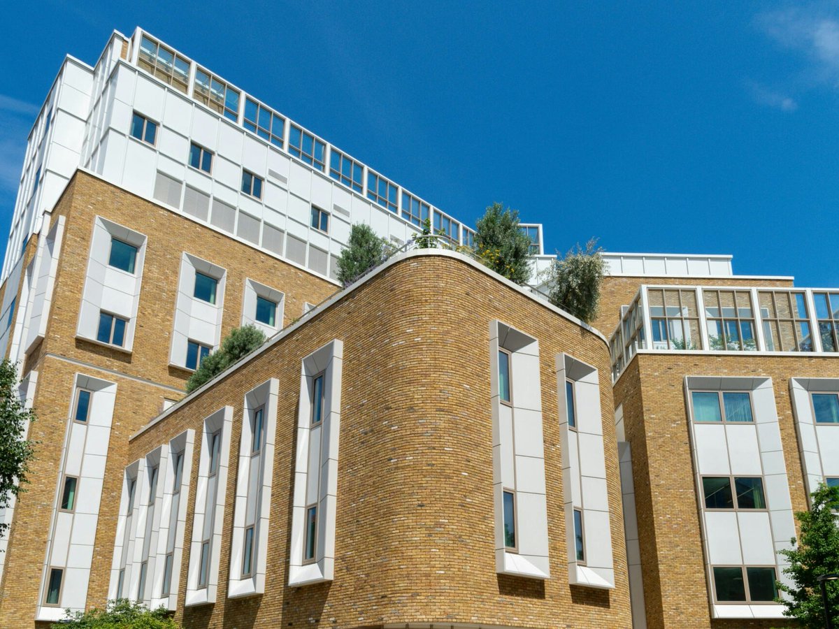 KCLalumni's tweet photo. It’s #ChildrensMentalHealthWeek. So what better time to talk about how King’s is helping tackle the growing issue of mental health problems among young people via the King’s Maudsley Partnership for Children and Young People?

🔗 Read more: https://t.co/uCxKutqo22
#ForeverKings🦁 https://t.co/UTztclCQuG