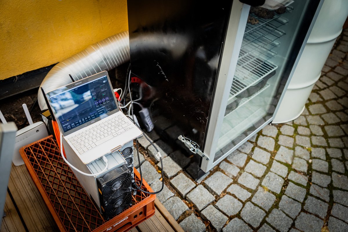 Bitcoin Beef Bits tweet media