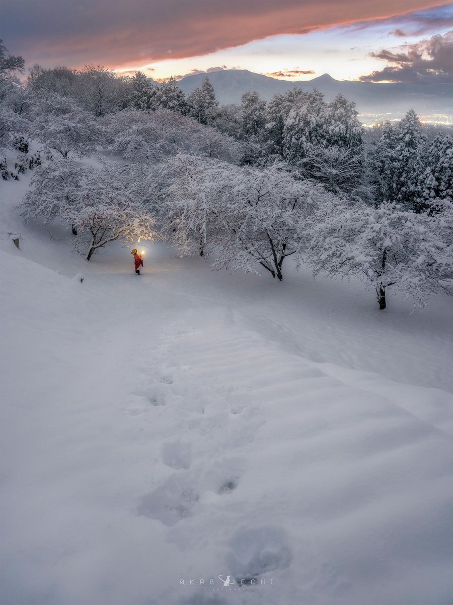南国神奈川が雪に染まった日
#東京カメラ部