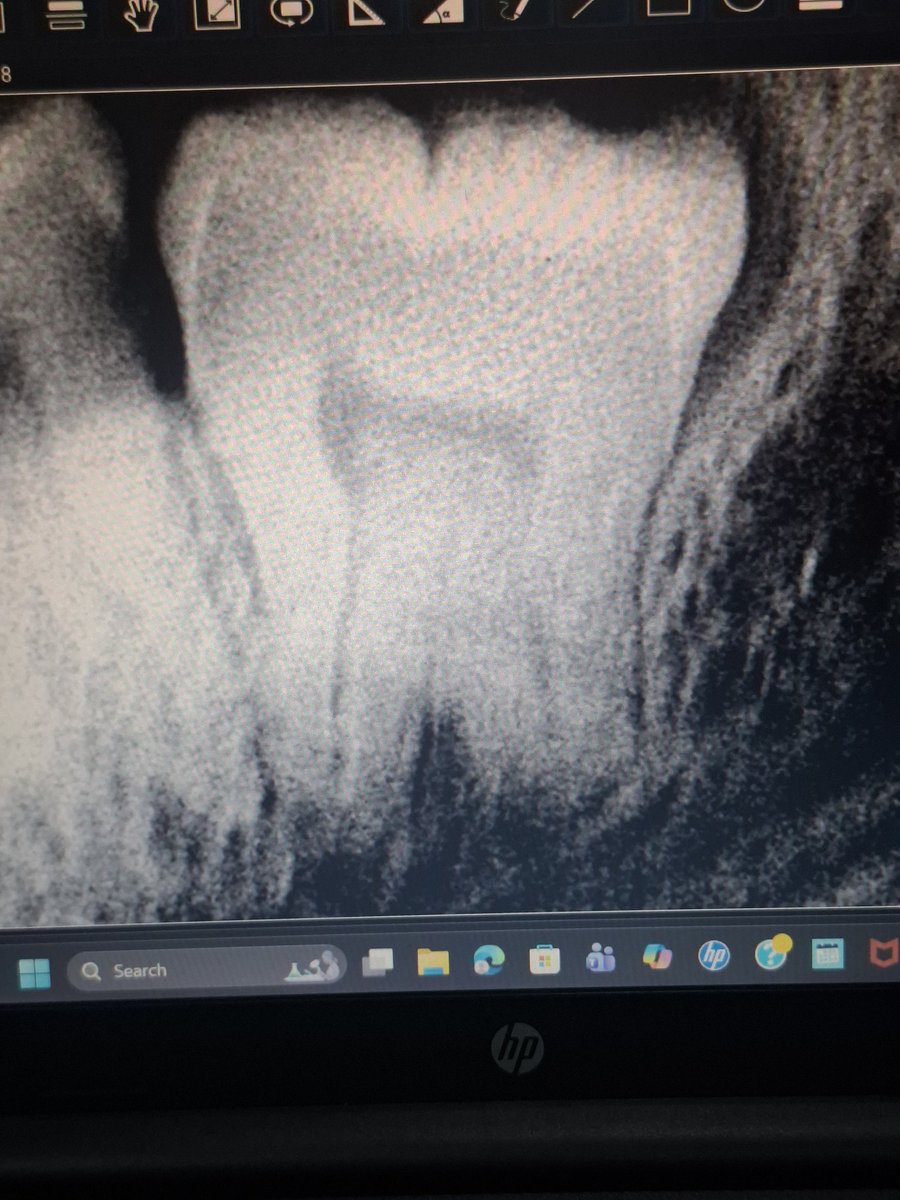 The Tooth Doctor tweet media