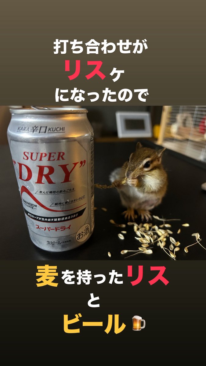 tinytot28's tweet photo. どうだ、親父ギャグ。笑 https://t.co/IYas7YFs2q