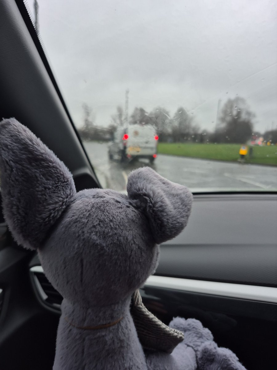 Ryan Walker tweet media