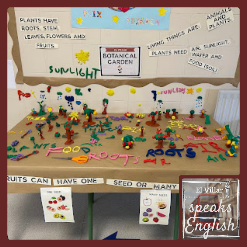 ColeNSVillar's tweet photo. El Villar speaks English 👩🎓🧑🎓 🇬🇧
Exploring plants in first grade: Learning through playdough 🌱🌵🌴🌻🌿🌳🫑
https://t.co/L3Im1dl2PV
#somosdeidiomas #LearnEnglish #NatureScience #bilingüescyl https://t.co/Fn1SJBmBFu