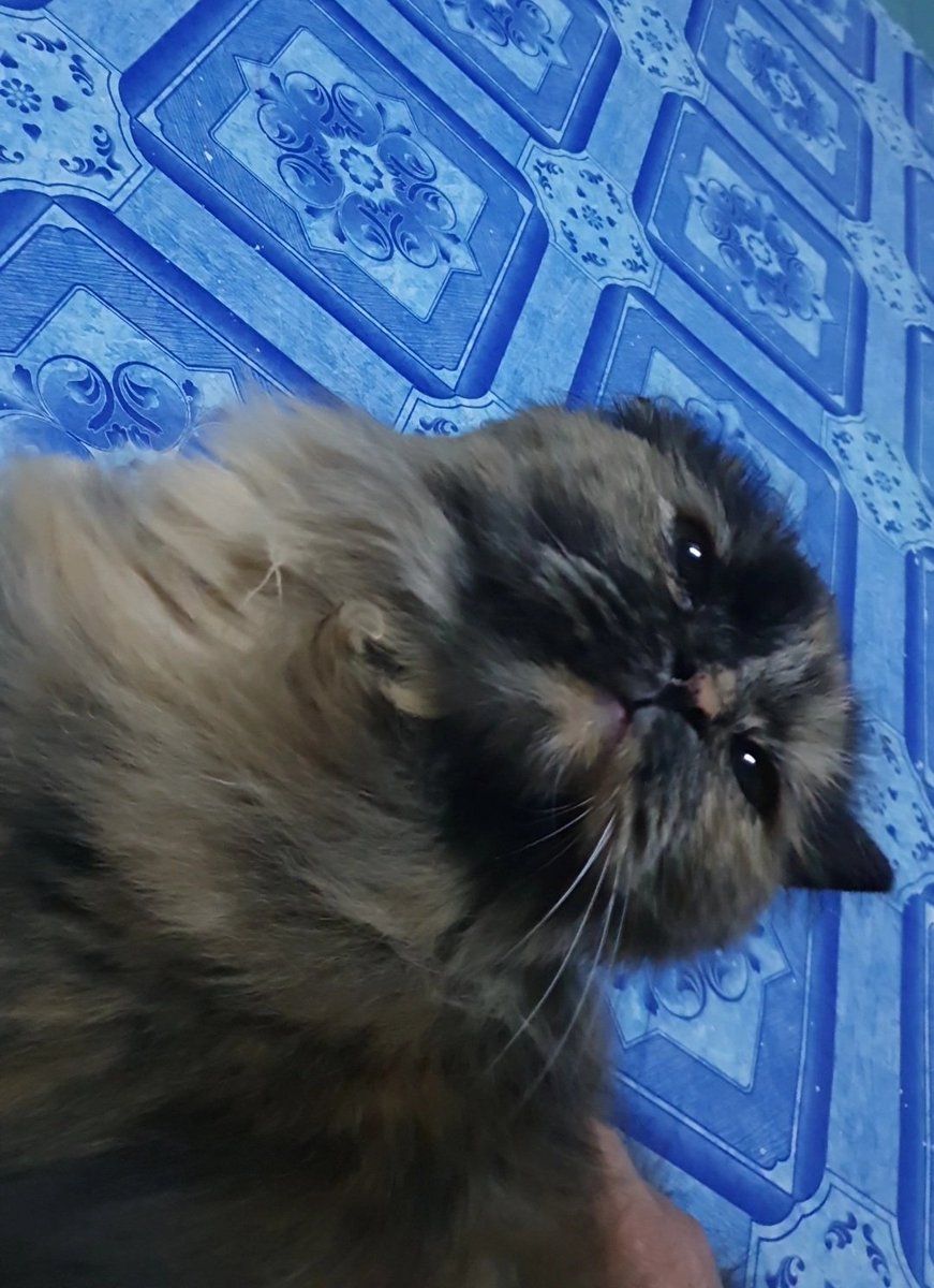 Hiii