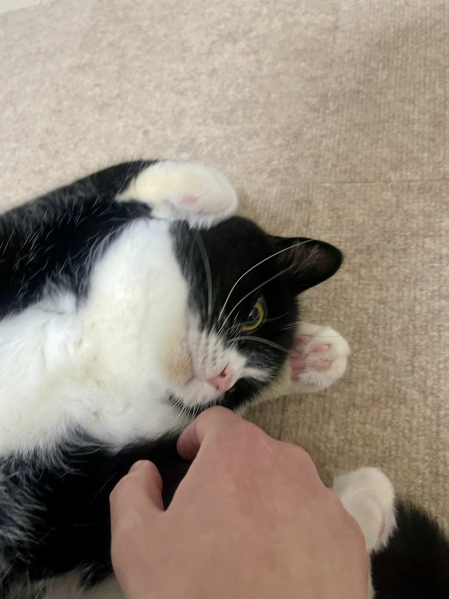 たろう (@taro20216) / Posts / X