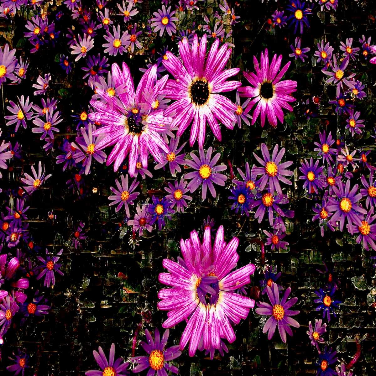 cryptogm tweet media