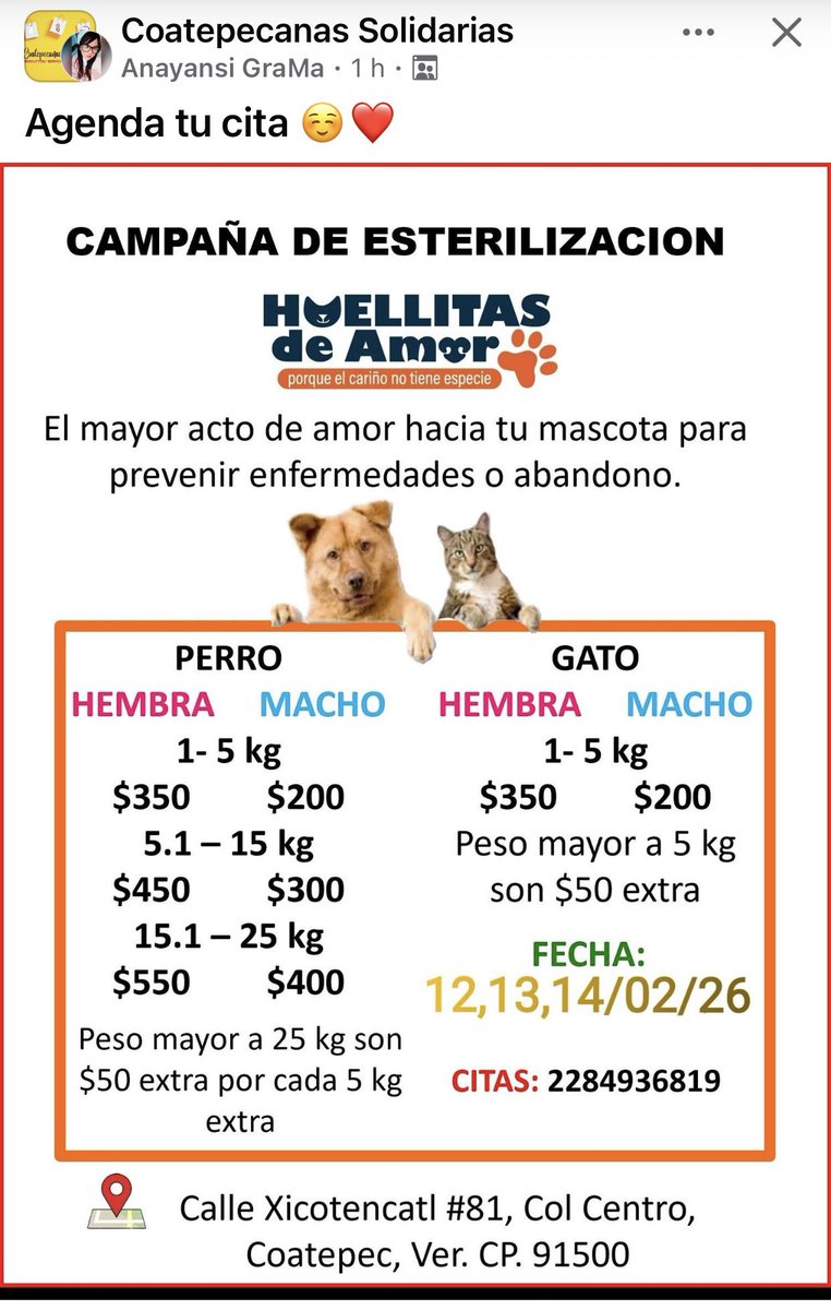 ❤️🐶 #esteriliza #coatepec  
<a href="/mageba04/">Gina alarcon</a> <a href="/Corintiacruz/">Corintia Cruz Oregón</a> <a href="/VialidadXalapa/">Vialidad Xalapa 🚦 VX 🌎</a> <a href="/AbelMucino/">Abel Muciño</a> <a href="/tierraverde1943/">ℓια ₊˚.༄ *ﾟ🌱</a> <a href="/pilykuera/">Pily Peregrina</a> <a href="/CECILLIA36/">CECILIA MENDEZ</a> <a href="/sara_juarez/">saraliz</a> <a href="/Ydlan/">Naldy Patricia</a> <a href="/fherciencias/">Soy Fher!</a> <a href="/camellinlove/">Porque soy xalapeño</a> <a href="/ArrezEdda/">Edda Arrez</a> <a href="/PopColorsXal/">PopCX</a> <a href="/RoxanaAAT/">Feto de PicaFresa🍓</a> <a href="/penelopemoncayo/">Penélope Moncayo.</a> <a href="/rociosaiz/">Rocio Saiz</a> <a href="/Pechmed/">Peter Tweet</a> <a href="/mayteponm/">Mayte P.</a> #Xalapa <a href="/marinavera100/">Marina Vera</a> RT!