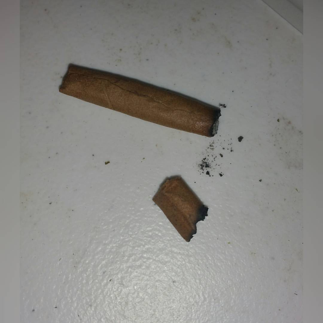 LoKeyFarms's tweet image. Lit it once put out after 3 hits...light it again and yea same shit 😂😂😂 #WhoSelectsThesePhenos #IDontGetIt