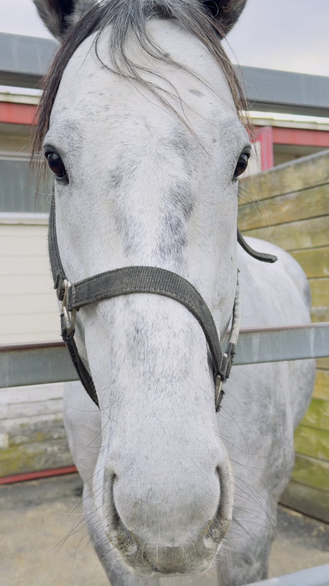 カワグチメロ (@jLbSZ6LKijacf40) / Posts / X