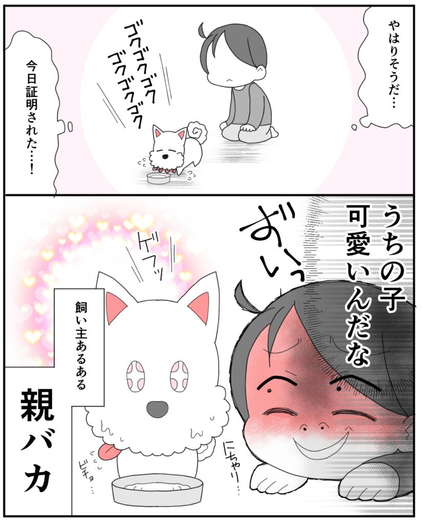 全飼い主あるある
うちの子が世界一ぃぃぃぃぃ!!! 
