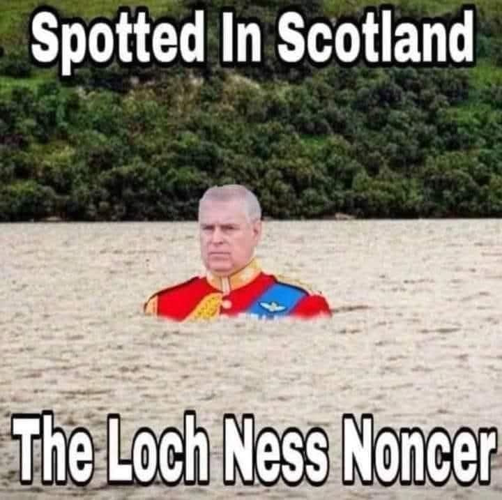 Is it a whale , is it a boat no its a dirty old scrot .....