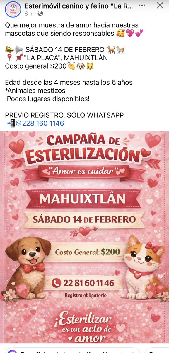 #esteriliza🐱🐶 #coatepec 
<a href="/mageba04/">Gina alarcon</a> <a href="/Corintiacruz/">Corintia Cruz Oregón</a> <a href="/VialidadXalapa/">Vialidad Xalapa 🚦 VX 🌎</a> <a href="/AbelMucino/">Abel Muciño</a> <a href="/tierraverde1943/">ℓια ₊˚.༄ *ﾟ🌱</a> <a href="/pilykuera/">Pily Peregrina</a> <a href="/CECILLIA36/">CECILIA MENDEZ</a> <a href="/sara_juarez/">saraliz</a> <a href="/Ydlan/">Naldy Patricia</a> <a href="/fherciencias/">Soy Fher!</a> <a href="/camellinlove/">Porque soy xalapeño</a> <a href="/ArrezEdda/">Edda Arrez</a> <a href="/PopColorsXal/">PopCX</a> <a href="/RoxanaAAT/">Feto de PicaFresa🍓</a> <a href="/penelopemoncayo/">Penélope Moncayo.</a> <a href="/Pechmed/">Peter Tweet</a> <a href="/mayteponm/">Mayte P.</a> <a href="/marinavera100/">Marina Vera</a> #Mahuixtlán #Xalapa RT!