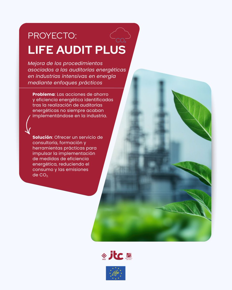 Audit Plus Project tweet media