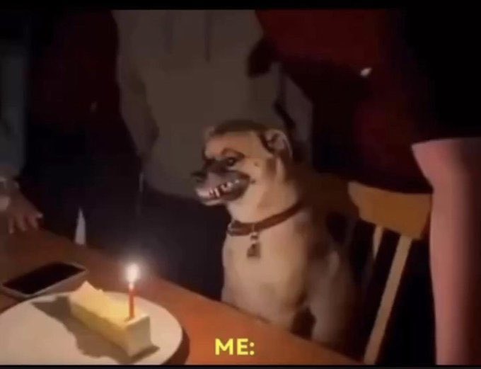 When the company throws me a surprise BD party yet l lied about my birthdate just to secure the job