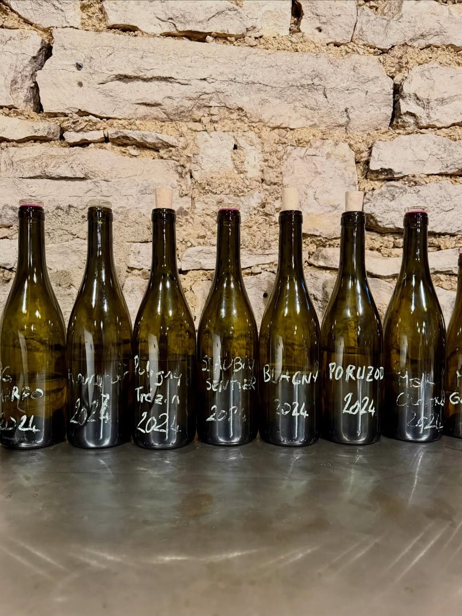 JeannieChoLee's tweet image. From village Meursault to his Porusots, Charmes &amp;amp; Genevrieres, Antoine Jobard has nailed it in 2024 — these are wines are great precision and finesse!

#meursault #bourgogne #winetasting  #burgundy