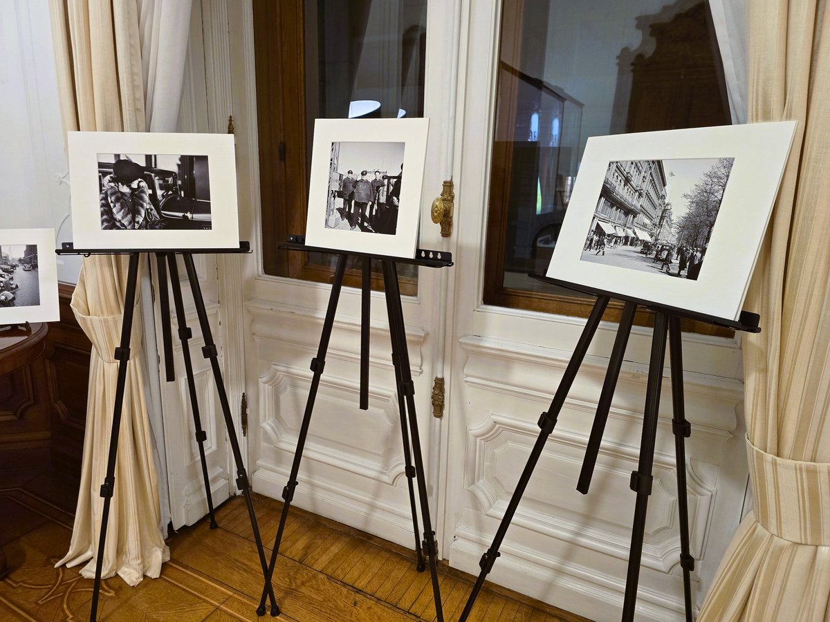 Diplomacy and Commerce Austria tweet media