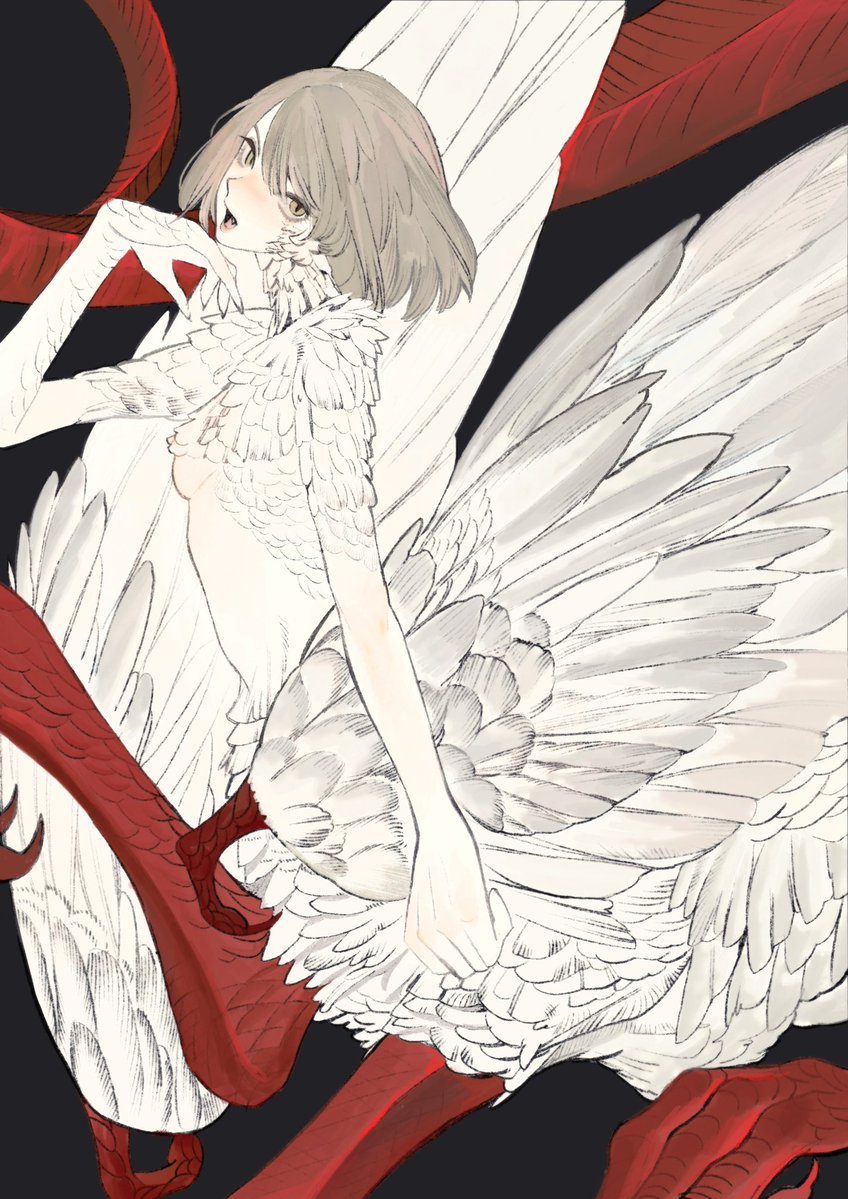 0oOpPDb's tweet image. 