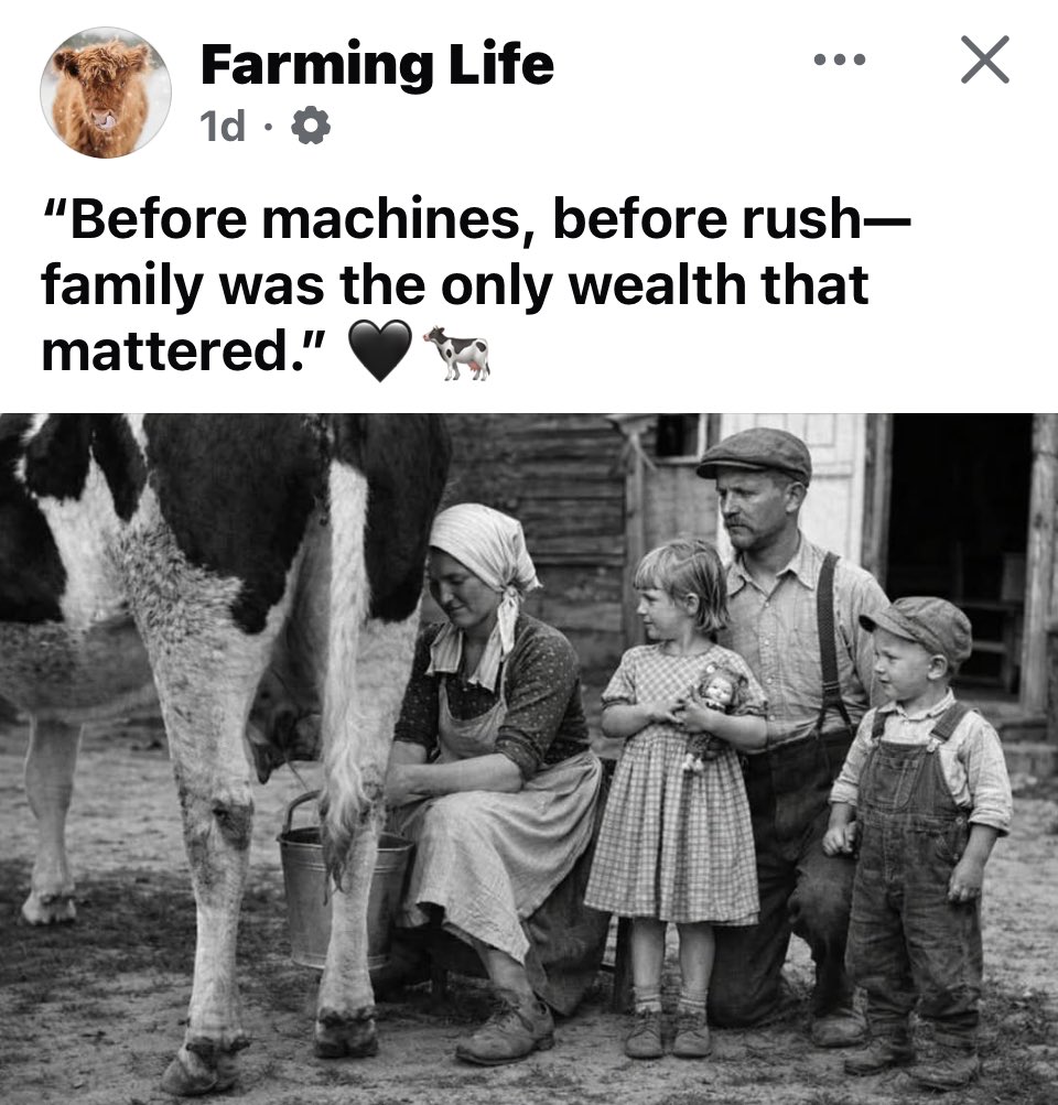 rattycastle's tweet image. #Farminglife #Familylife
