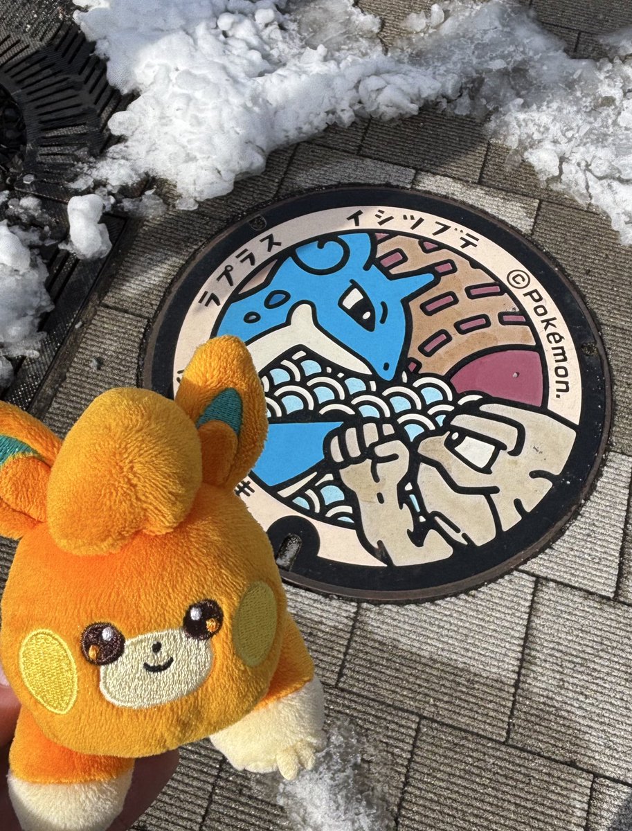 ここまで雪が降るのはめずらしいんだって、ぱもちゃん