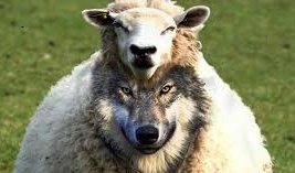 shayan_shahnazi's tweet photo. Stop the lies to yourselves and to everyone else!
Suit wearing, bearded terrorists "negotiating" for Iran's regime = born killers in disguise.
Barbarians playing civilized!
Do NOT deal with terrorists.
Destroy them!
#IranRegimeChange
#KingRezaPahlavi 
#ReaganPlus https://t.co/0MvKVuul8S