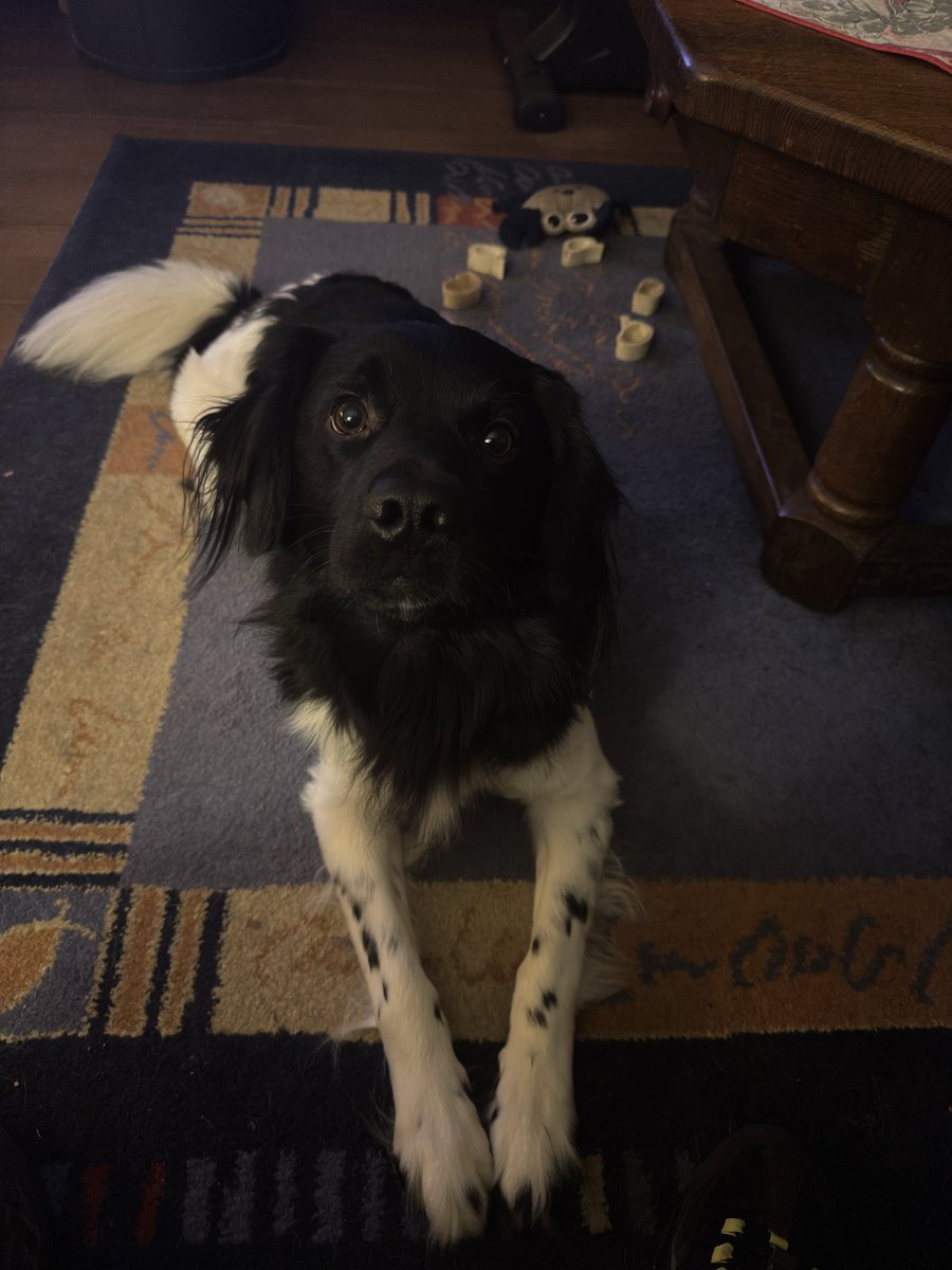 Boskie ッ tweet media