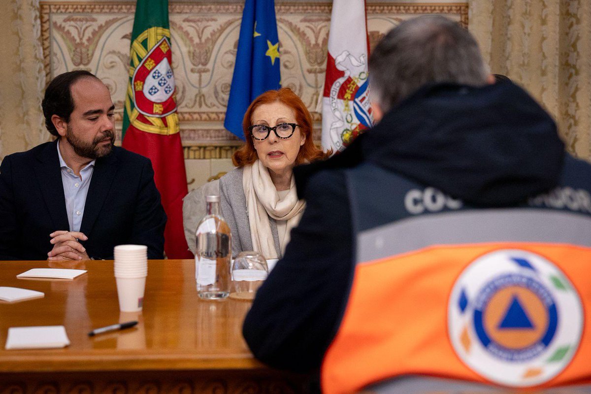 Maria Graça Carvalho tweet media