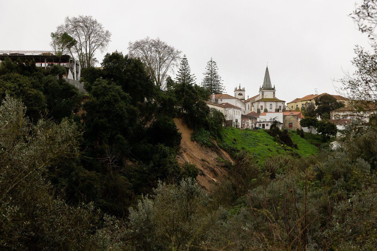Maria Graça Carvalho tweet media