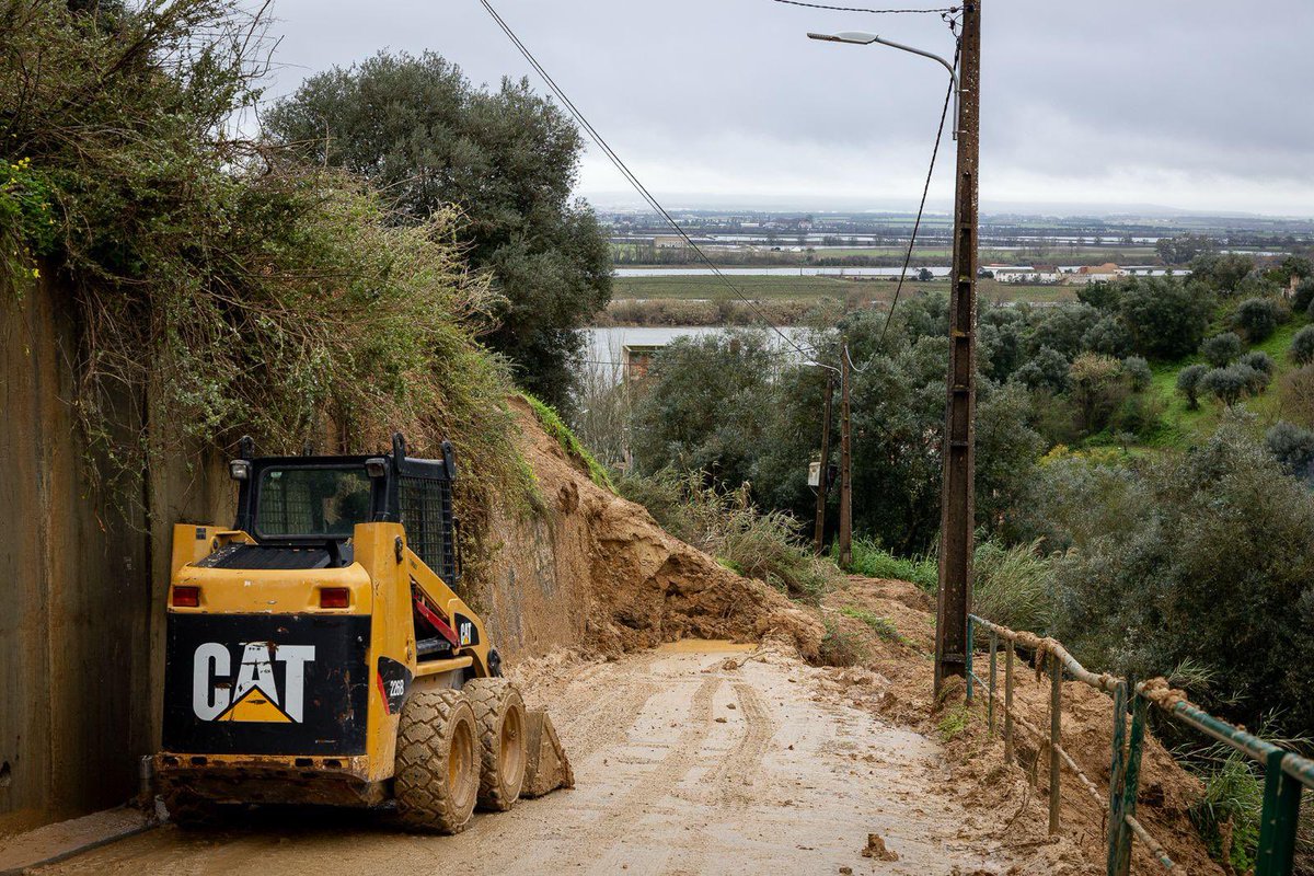 Maria Graça Carvalho tweet media