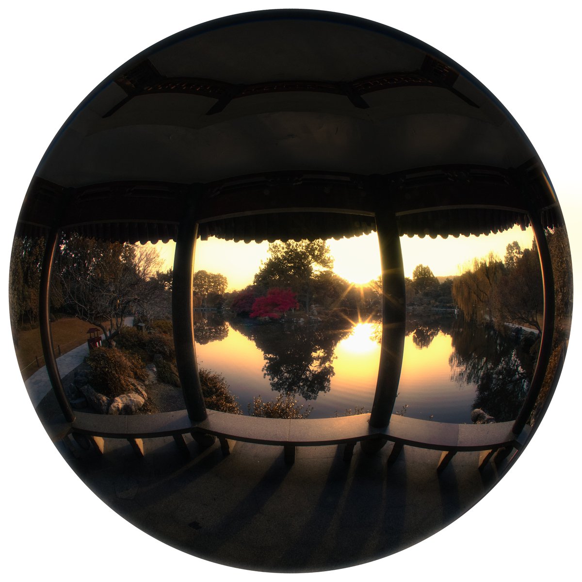 AstrHori's tweet photo. See the world from the center of wonder 🌏Captured with the AstrHori 6mm F2.8 Circular Fisheye.

Credit: @猫咪做饭
#astrhori #astrhori6mmf28 #fisheyelens #perspectivematters #creativephotography #LensMagic https://t.co/10vfMmBYwH