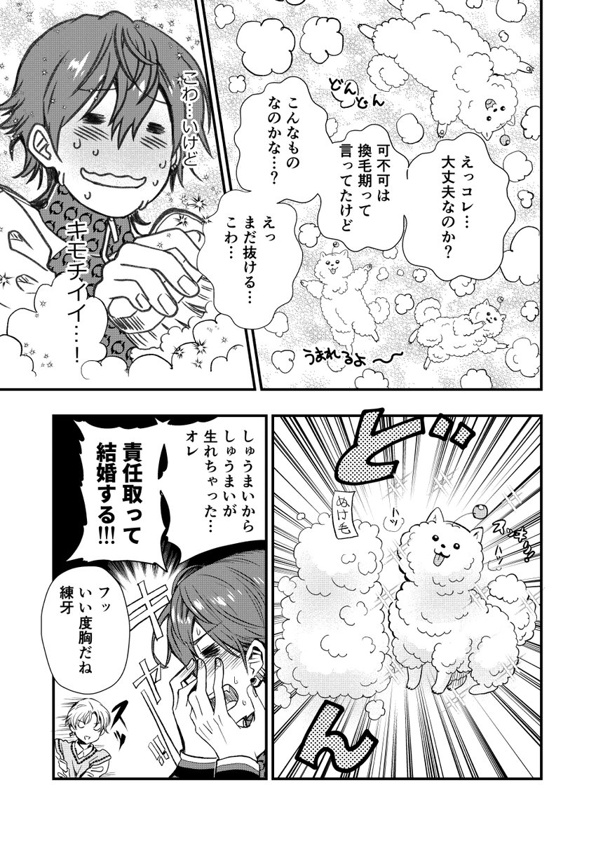 sawatari_2ji's tweet photo. しゅうまいブラッシングが現実になりさすがに再掲 https://t.co/FeavDimL50