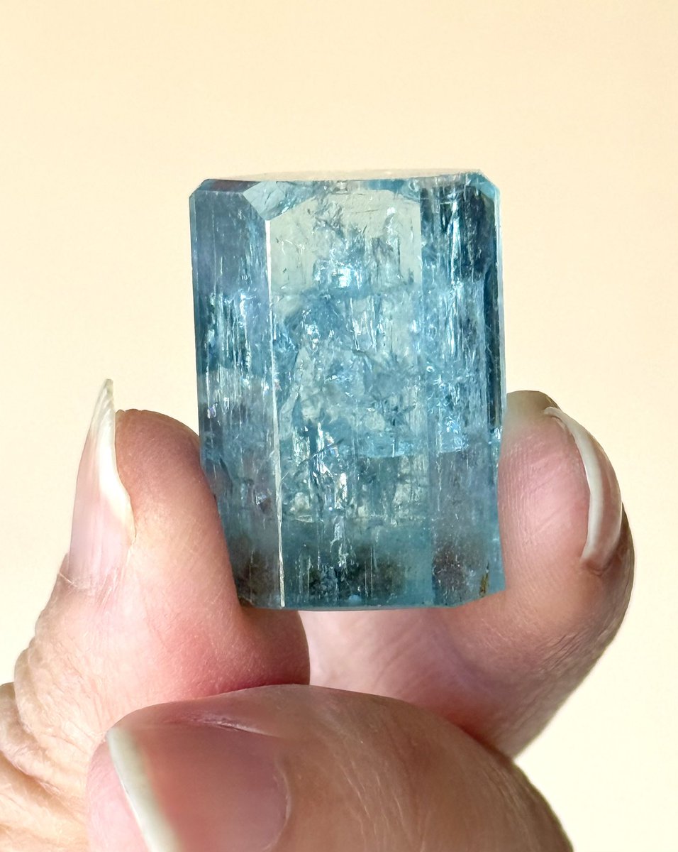 CRYSTAL STAGE tweet media