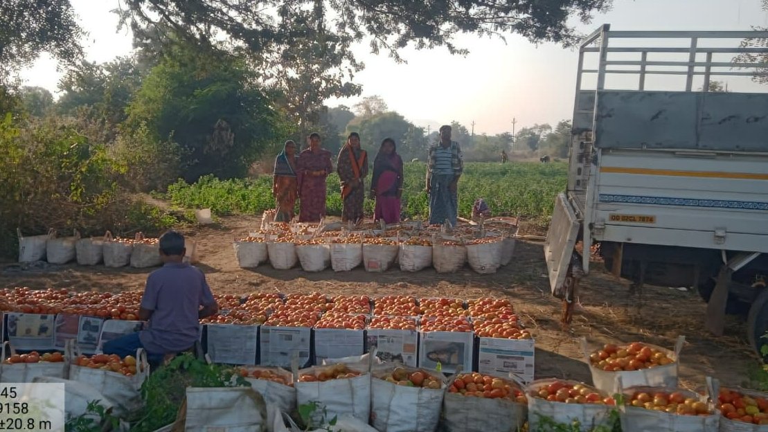 APC Program tweet media