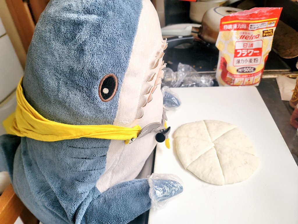 IKEAのサメ用アカ@ワタザメ tweet media