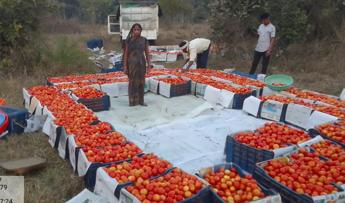 APC Program tweet media